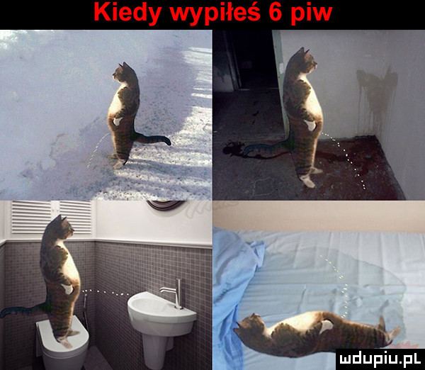 kiedy wypiłeś   piw