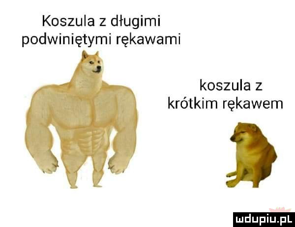 koszula z długimi podwiniętymi rękawami koszula z krótkim rękawem