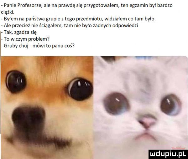 poma profesorze abe na prawdęsrę przygomwalzm ten egzamm był bardzo ciężki. byłem na państwa grupie z taga przedmumu wndznaism cc lam bylo. a e przecież me ściągałem tam nie bwa zadnych odpowiedzr tak zgadza się to w czym problem gruby hu mówi to panu wś