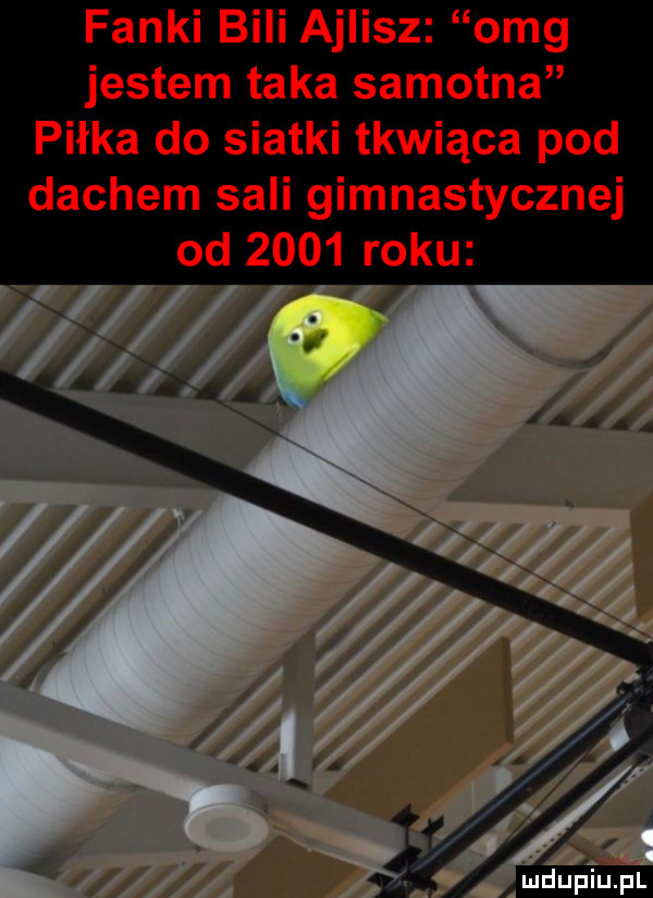 fanki bili ajlisz omg jestem taka samotna piłka do siatki tkwiąca pod dachem sali gimnastycznej od      roku mduplu pl