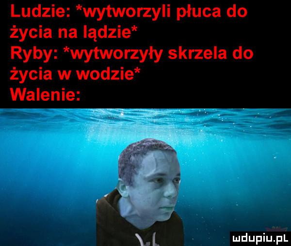 ludzie wytworzyli płuca do życia na lądzie ryby wytworzyły skrzela do życia w wodzie walenie