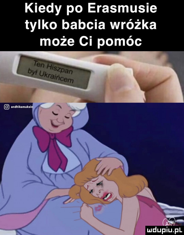 kiedy po erasmusie tylko babcia wróżka może ci polec