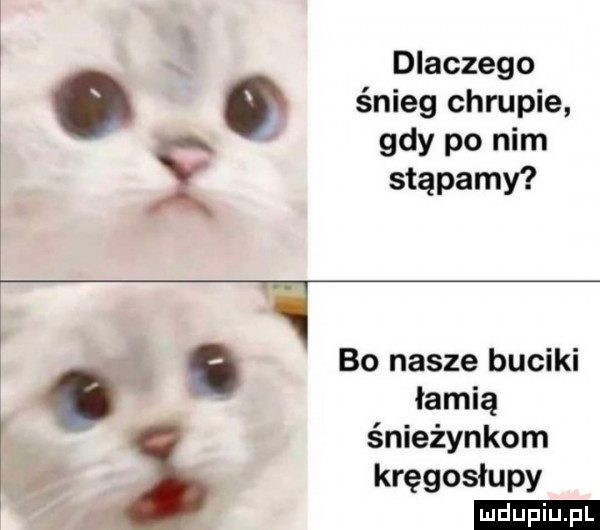 i i a. dlaczego śnieg chrupie gdy po nim stąpamy bo nasze buciki łamią śnieżynkom kręgosłupy