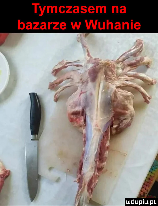 tymczasem na bazarze w wuhanie