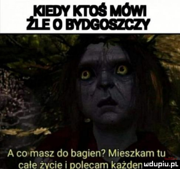 j a co masz do bagien mieszkam tu całe żęcie i dolegam każdenndupiu pl