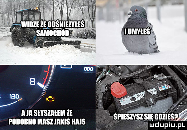 ml wsm   śriiszvsz się alu ś mam msums mus mduwu f