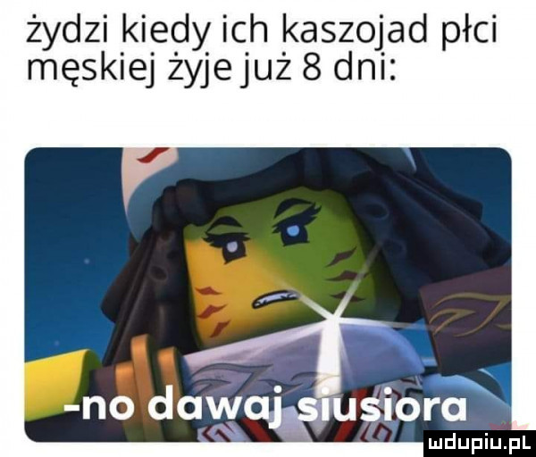 żydzi kiedy ich kaszojad płci męskiej żyjejuż   dni