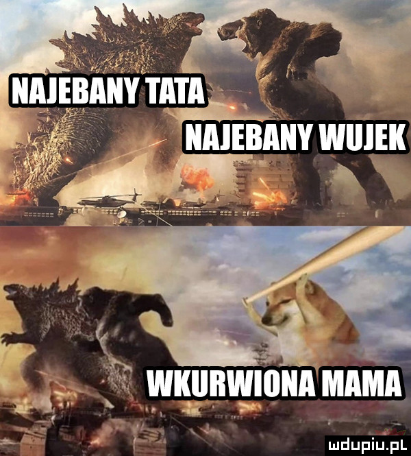 x mdupilipl