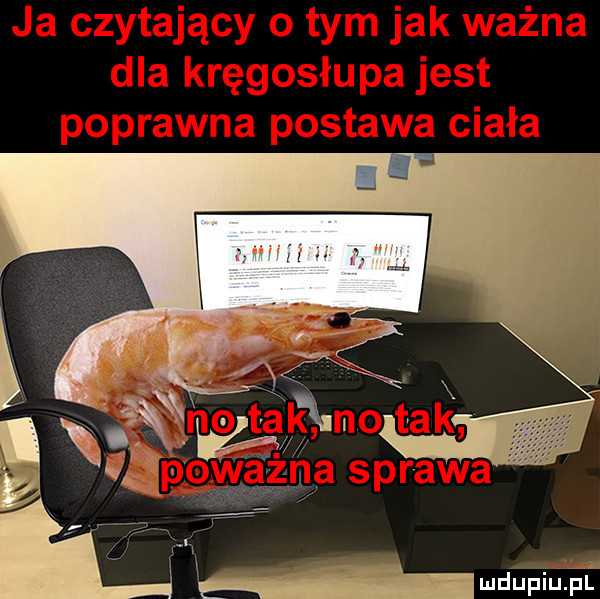 b wdaniu ńt