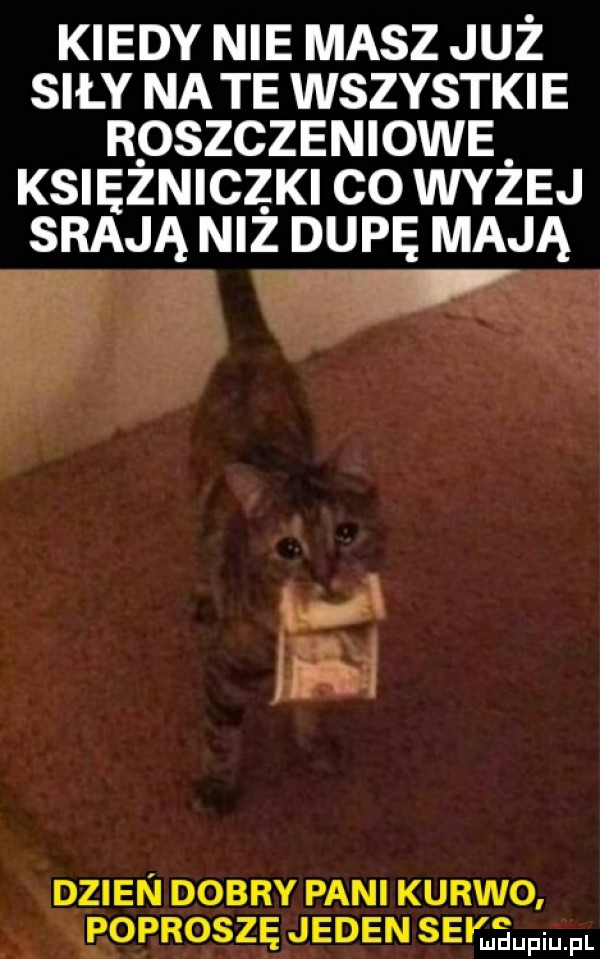 kiedy nie masz juz sily na te wszystkie r oszczenione księżniczki co wyzej srają niz dupę mają dzien dobry pani kurwo oproszę jeden       mel