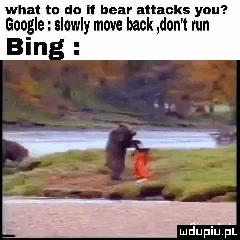 wiat to do if bear attacks y-u google slowly moce beck don t run