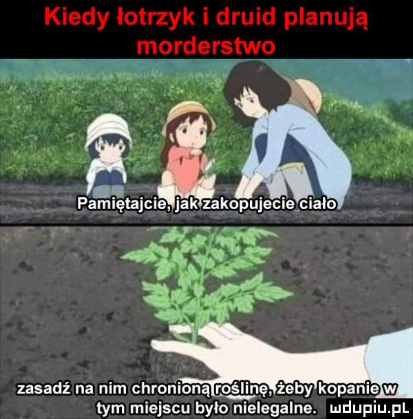 kiedy łotrzyk i druid planują morderstwo tym miejscu bylo nielegalne