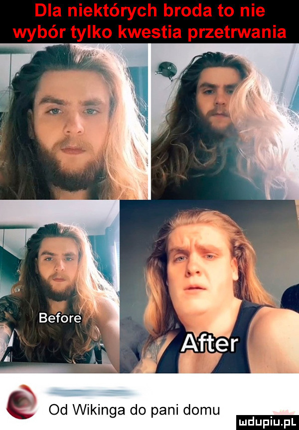 é od wikinga do pani domu