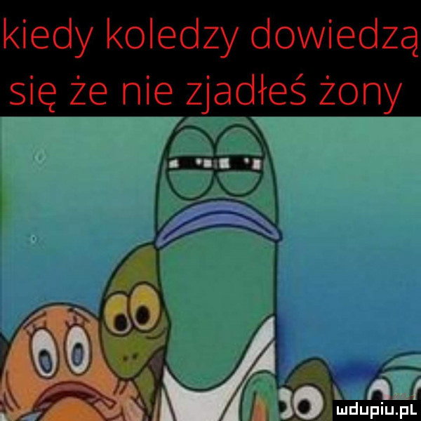kiedy koledzy dowiedzą się że nie vzjadłeś żony