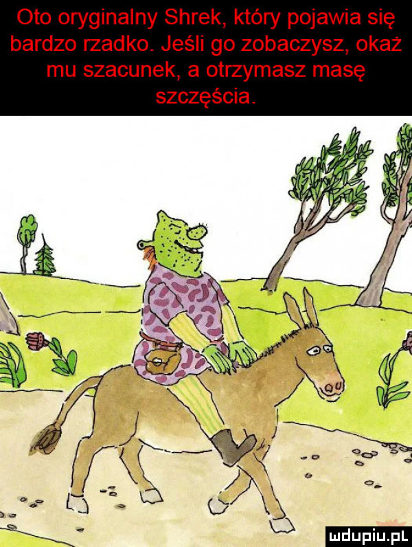 oto oryginalny shrek który pojawia się bardzo rzadko. jeśli go zobaczysz okaz mu szacunek a otrzymasz masę szczęścia. l