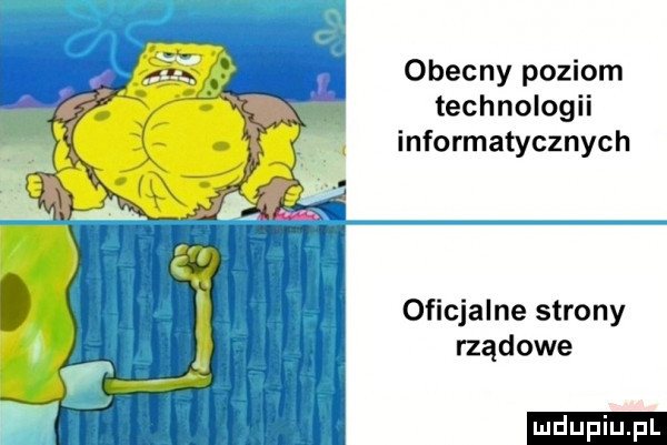 obecny poziom technologii informatycznych oficjalne strony rządowe ludu iu. l