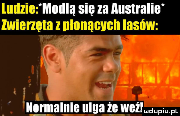 mllllla się za australie normalnie ulga że weź d pi