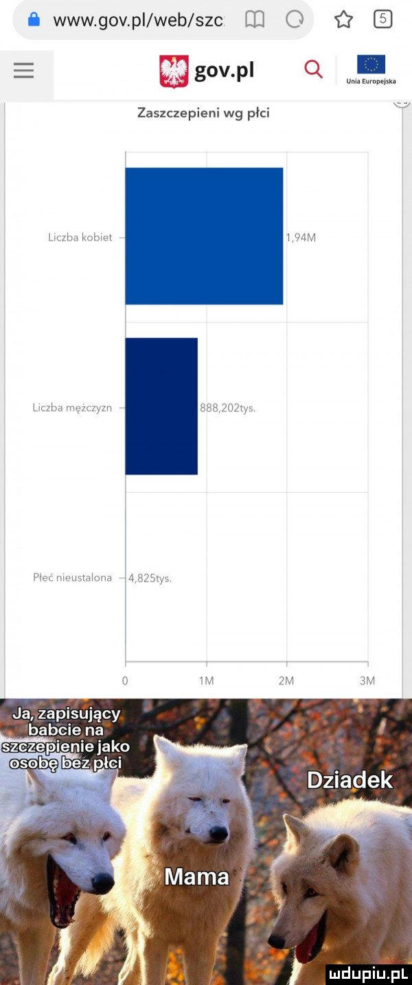 www gov pi web sac i o i   eqgov pl q. zaszczepieni wg płci n mm mam w m wy w na u xv m v ja zapisujący bab cie nę