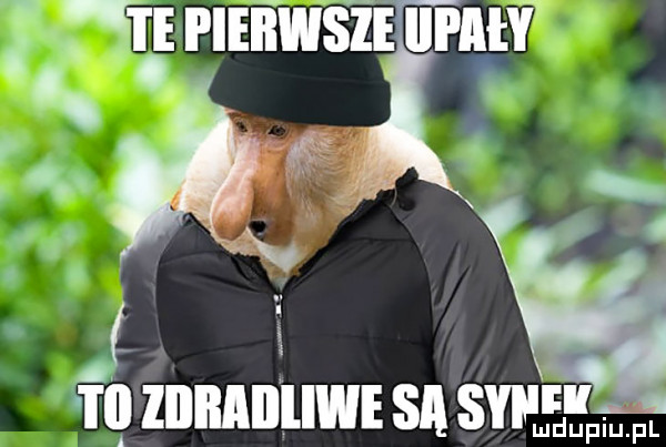 tt ernst a ﬁ węznnnnumsnswrn luduiup p l