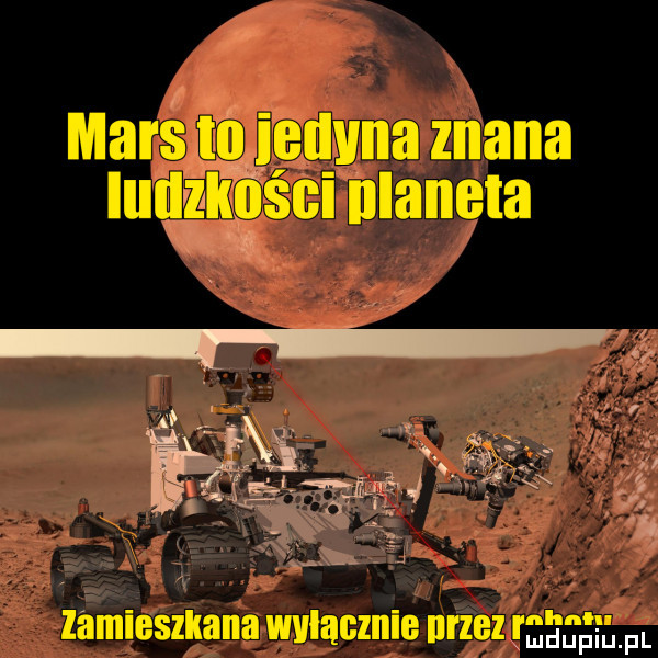 p in marsﬁfe enyna znana mig zamieszkana wylacznie urzez m fl