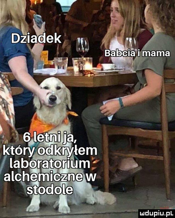 w x zł   babcia i mama b mdupiupt
