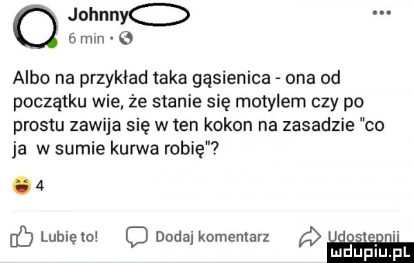 gmin e o johnnyo albo na przykład taka gąsienica ona od początku wie że stanie się motylem czy po prestu zawija się w ten kokon na zasadzie co ja w sumie kurwa robię.   lubię to c dodaj komentarz udostieni