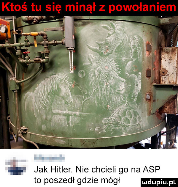 zt. jak hitler. nie chcieli go na asp to poszedł gdzie mógł ndupiu pl