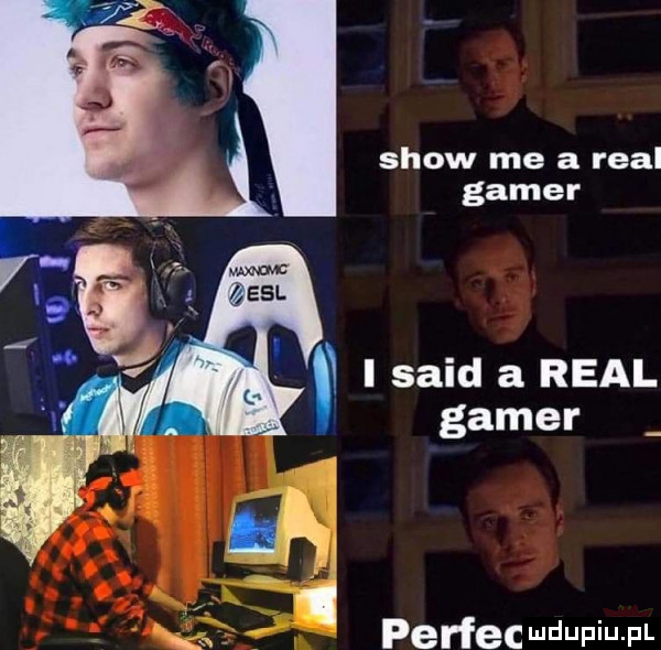 show me a real gamer i said a real gamer perfec wdupiu pl