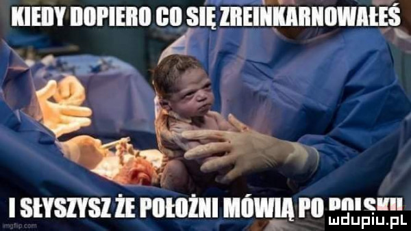 lum noam cn sna znnii lifanlulwnt ihs s i styslysl ﬂ pllłilżiii mam i ll g mduplu pl