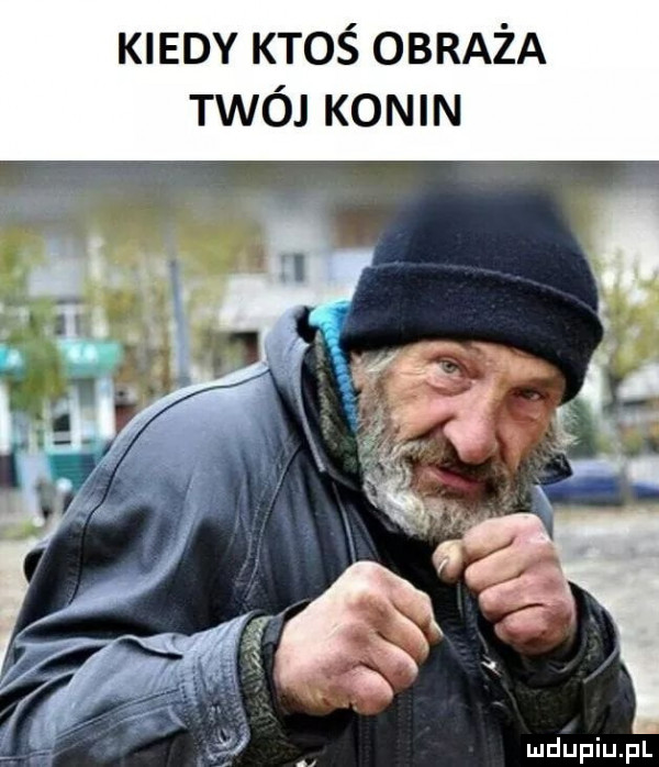 kiedy ktoś obraża twój konin