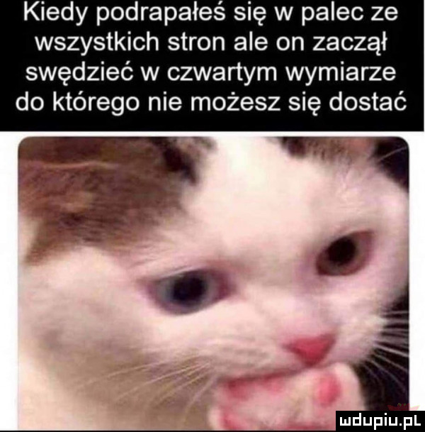 kiedy podrapałeś się w palec ze wszystkich stron ale on zaczął swędzieć w czwartym wymiarze do którego nie możesz się dostać