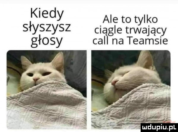 kiedy ale to tylko słyszysz ciąlgle trwający głosy cal na teamsie