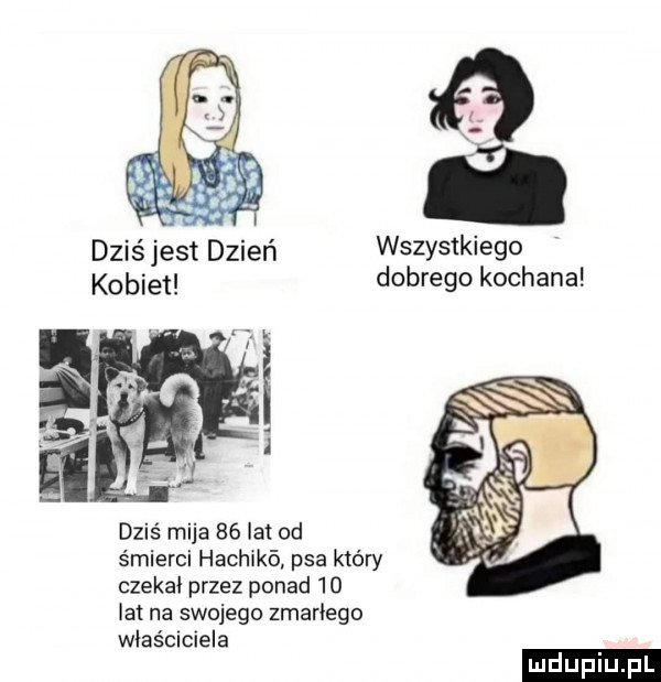 wszystkiego kobiet dobrego kochana dziś mija    lat od śmierci hachikﬁ psa który czekał przez ponad    la na swojego zmarłego właściciela