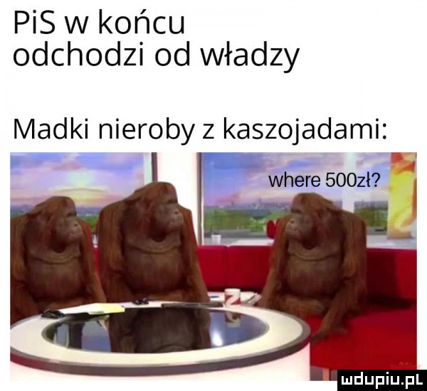 pis w końcu odchodzi od władzy madki nieroby z kaszojadami where