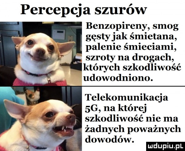 percepcja szurów benzopireny smog gęsty jak śmietana palenie śmieciami szroty na drogach których szkodliwość udowodniono. telekomunikacja  g na której szkodliwość nie ma żadnych poważnych dowodów