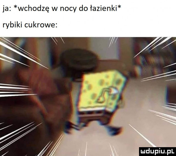 ja wchodzę w nocy do łazienki rybiki cukrowe