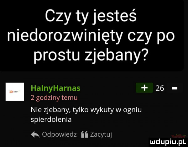 czy ty jesteś niedorozwinięty czy po prestu zjebany. halnyharnas      godziny temu nie zjebany tylko wykuty w ogniu spierdolenia   odpowiedz ii zacytuj