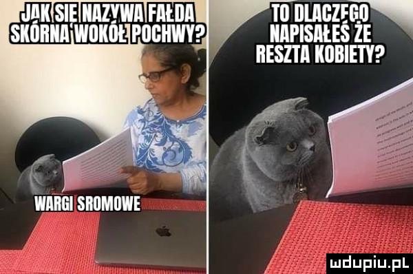 t  illligzegll iiipisiiles że reszta kobiety