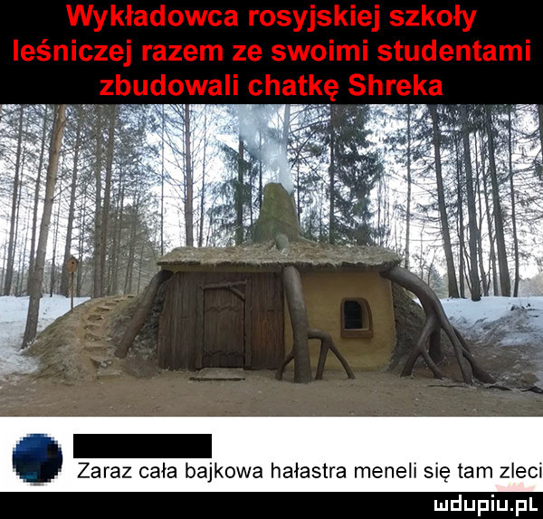 zaraz cała bajkowa hałastra meneli ię tam zleci