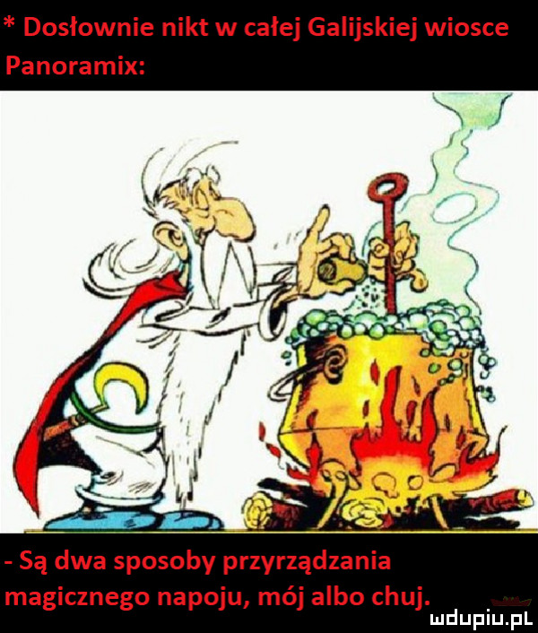 dosłownie nikt w całej galijskiej wiosce panoramix są dwa sposoby przyrządzania magicznego napoju mój albo chuj