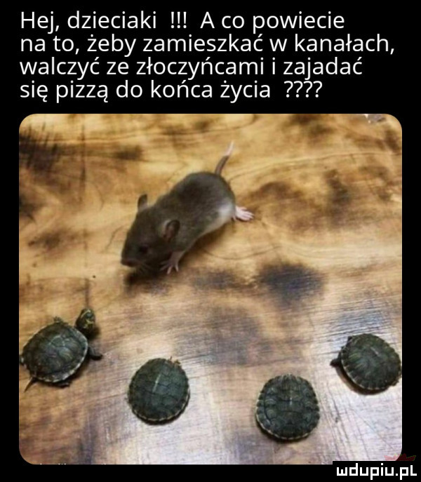 hej dzieciaki a co powiecie na to żeby zamieszkać w kanałach walczyć ze złoczyńcami zajadać się pizzą do końca życia