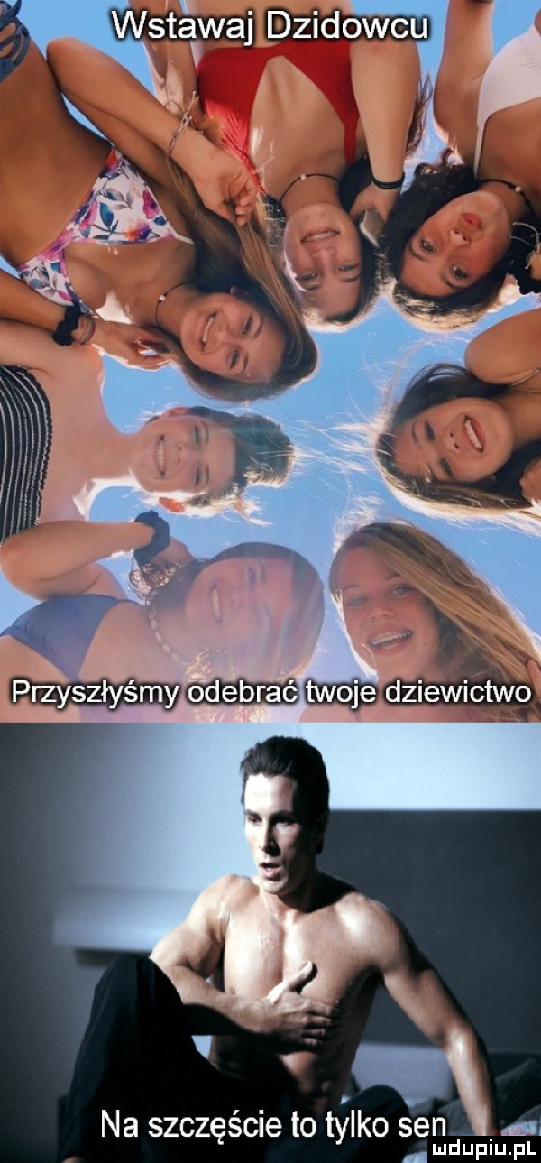 wwala dzikowcu na szczęście to talk o sen ludupiu. pl