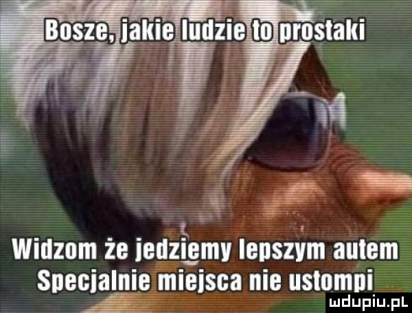 widzom że ieuzę gev ienszim amen snecialnie miejsca nie ustomni ludupiu. pl