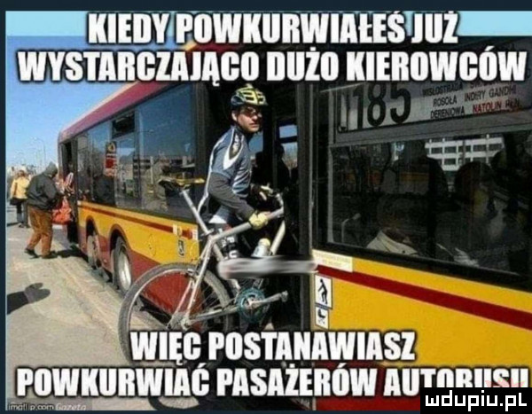 iliiiiy puwkubwiiees jhi wystaiigiaiaięii iiiiżii kierowców mmrosimwmsz nngunwme rnsn żmńw aur musu lud uplu. pl