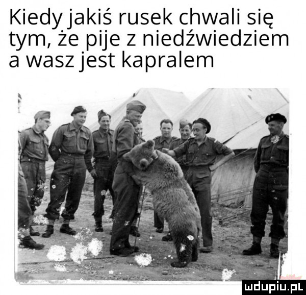 kiedyjakiś rusek chwali się tym że pije z niedźwiedziem a waszjest kapralem mdupliupl