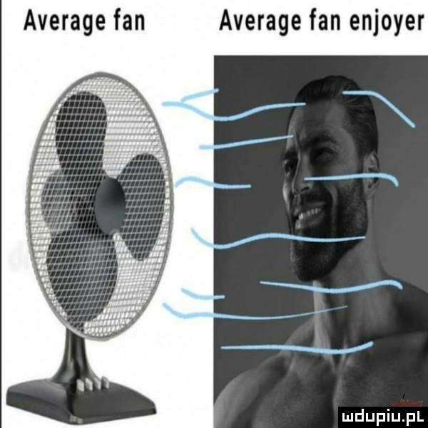average fan average fan enjoyer