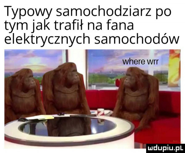 typowy samochodziarz po tym jak trafił na fana elektrycznych samochodów where wrr