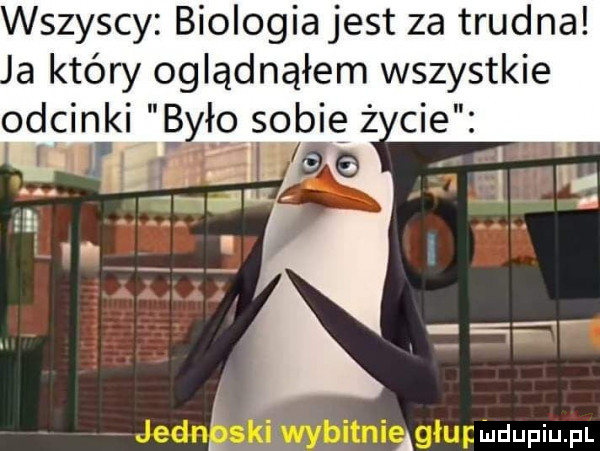 wszyscy biologia jest za trudna a który oglądnąłem wszystkie odcinki bio sofię ż cie a