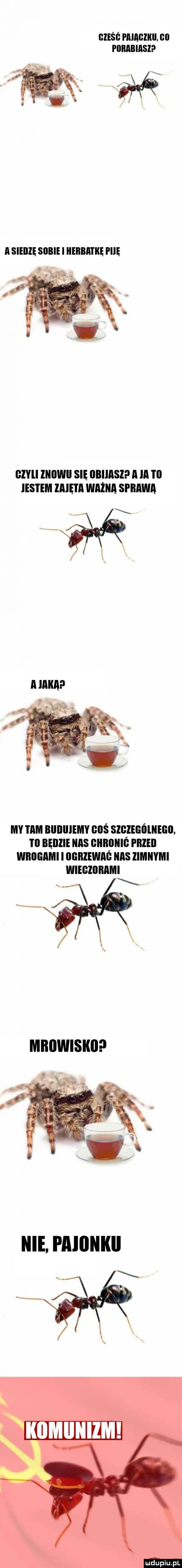 gieśś paiagzkii. gi fiiiiabiasip a sieiize sobie i herbatkę i ice hey ll lllﬂwli sie iibiiasi ii iii i ll jestem lnie i a ważna sprawa my i am budujemy boś szbiegóiiiegii i il bęiizie nas glllllllllć piileil wiiiigami i bemewag ihs limiiymi wiegiiiiiami x komiiniim