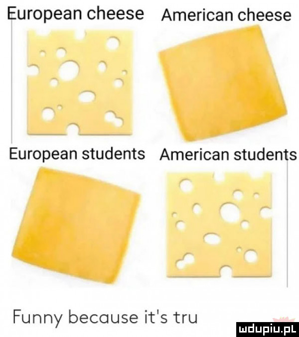 european cheese american cheese european students american students. abakankami finny because lt s tau